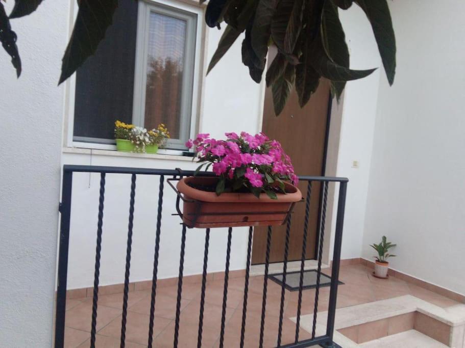 Appartement Casa Di Cristina à Fiumicino Extérieur photo