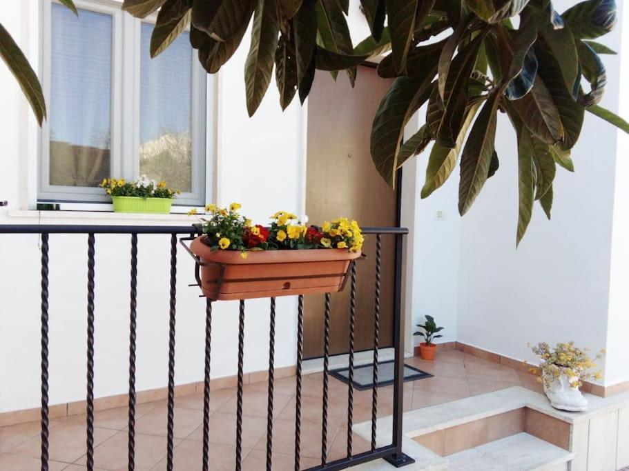 Appartement Casa Di Cristina à Fiumicino Extérieur photo