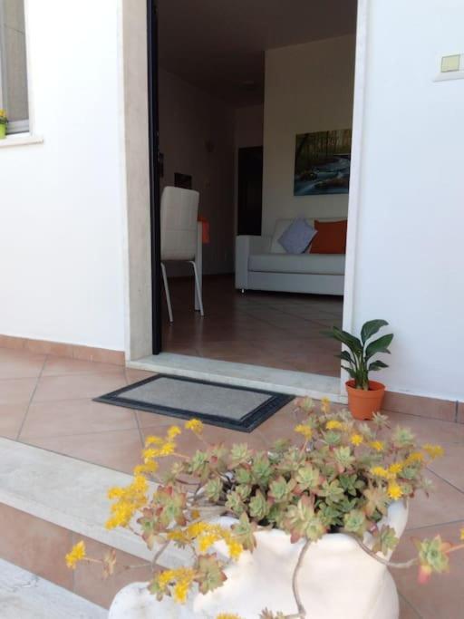 Appartement Casa Di Cristina à Fiumicino Extérieur photo