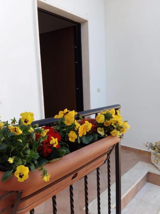 Appartement Casa Di Cristina à Fiumicino Extérieur photo