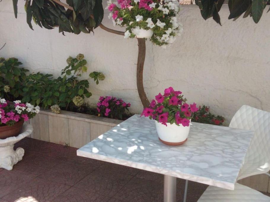 Appartement Casa Di Cristina à Fiumicino Extérieur photo