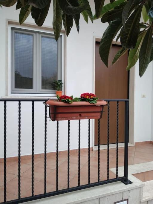 Appartement Casa Di Cristina à Fiumicino Extérieur photo