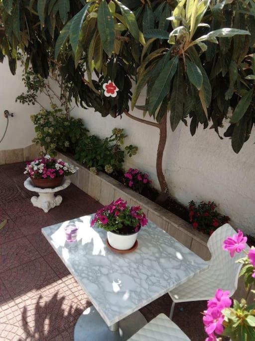Appartement Casa Di Cristina à Fiumicino Extérieur photo